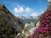 PIZZO VESCOVO (2175 m.) e MONTE BRATE (1932 m.) con giro ad anello da Foppolo il 7 giugno 2013  - FOTOGALLERY